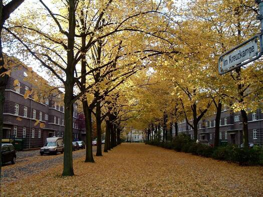 Wohnung zum Kauf als Kapitalanlage geeignet 183.000 € 2 Zimmer 61 m² List Vahrenwald - List 30655