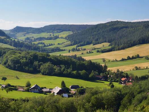 Grundstück zum Kauf 59.900 € 1.036 m² Grundstück frei ab sofort Sophienthal Sophienthal Weidenberg 95466