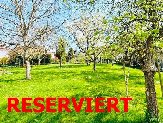 Grundstück zum Kauf 210.000 € 650 m² Grundstück frei ab sofort Hilzingen Hilzingen 78247