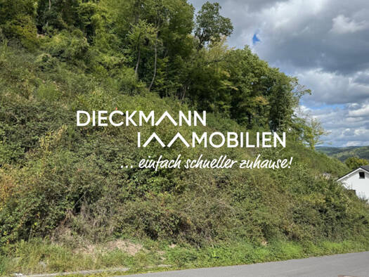 Grundstück zum Kauf 58.672 € 685 m² Grundstück Brohl Brohl-Lützing 56656