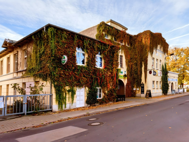 Mehrfamilienhaus zum Kauf 359.900 € 6 Zimmer 164 m² 817 m² Grundstück Parchim 19370