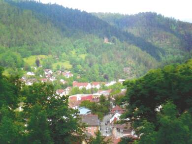 Grundstück zum Kauf 165.000 € 1.110 m² Grundstück Schramberg Schramberg 78713
