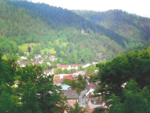 Grundstück zum Kauf 165.000 € 1.110 m² Grundstück Schramberg 78713