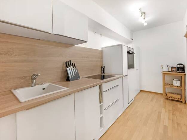 Wohnung zur Miete auf Zeit 50 € 2 Zimmer 65 m² frei ab sofort Maxvorstadt München 80335
