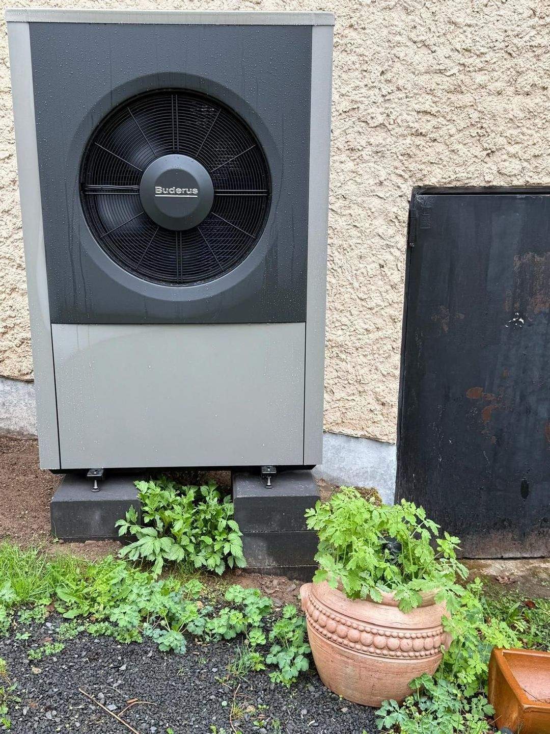 Immobilie in Heilbach - Luxus und Ruhe in Grenznähe – Großzügiges Einfamilienhaus mit 2 Wohneinheiten - Bild 2