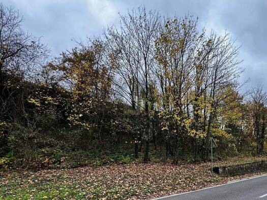 Grundstück zum Kauf 49.500 € 531 m² Grundstück Bullay 56859