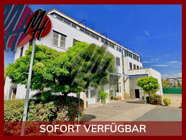 Halle/Industriefläche zur Miete 7,50 € 900 m² Lagerfläche Bischofsheim 65474