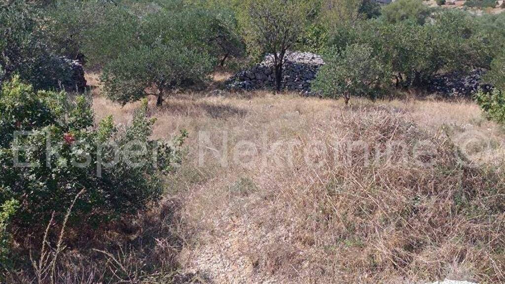 Land-/Forstwirtschaft zum Kauf 210.000 € Slatine