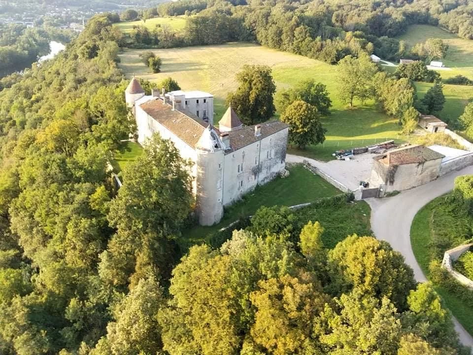 Schloss zum Kauf 990.000 € 20 Zimmer 900 m²<br/>Wohnfläche 50.000 m²<br/>Grundstück Pont-d'Ain 01330