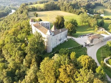 Schloss zum Kauf 990.000 € 20 Zimmer 900 m² 50.000 m² Grundstück Pont-d'Ain 01330