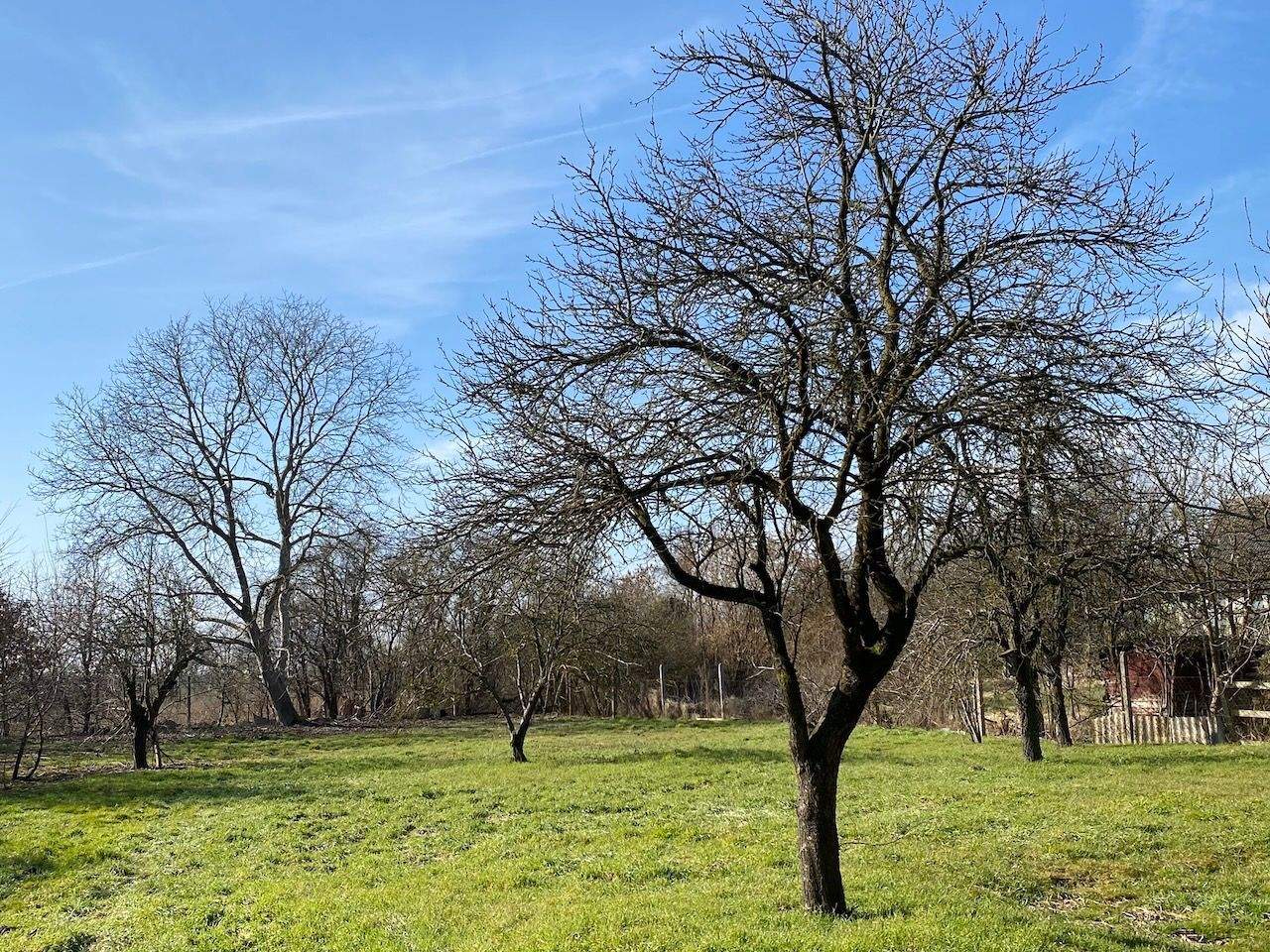Immobilie in Strausberg - Baugrundstück mit vorhandenem Wohnhaus in Hohenstein bei Strausberg - Bild 3