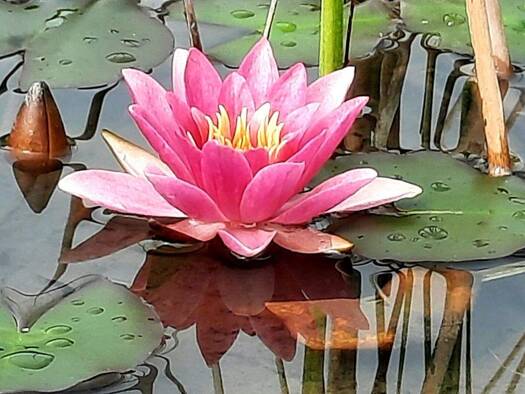 Hotel zum Kauf 790.000 € 3.000 m² Grundstück Hermagor-Pressegger See 9620