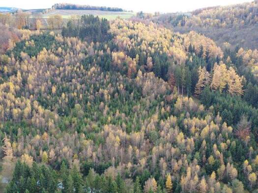 Land-/Forstwirtschaft zum Kauf 171.606 m² Grundstück Immenhausen Meschede-Schederberge 59872