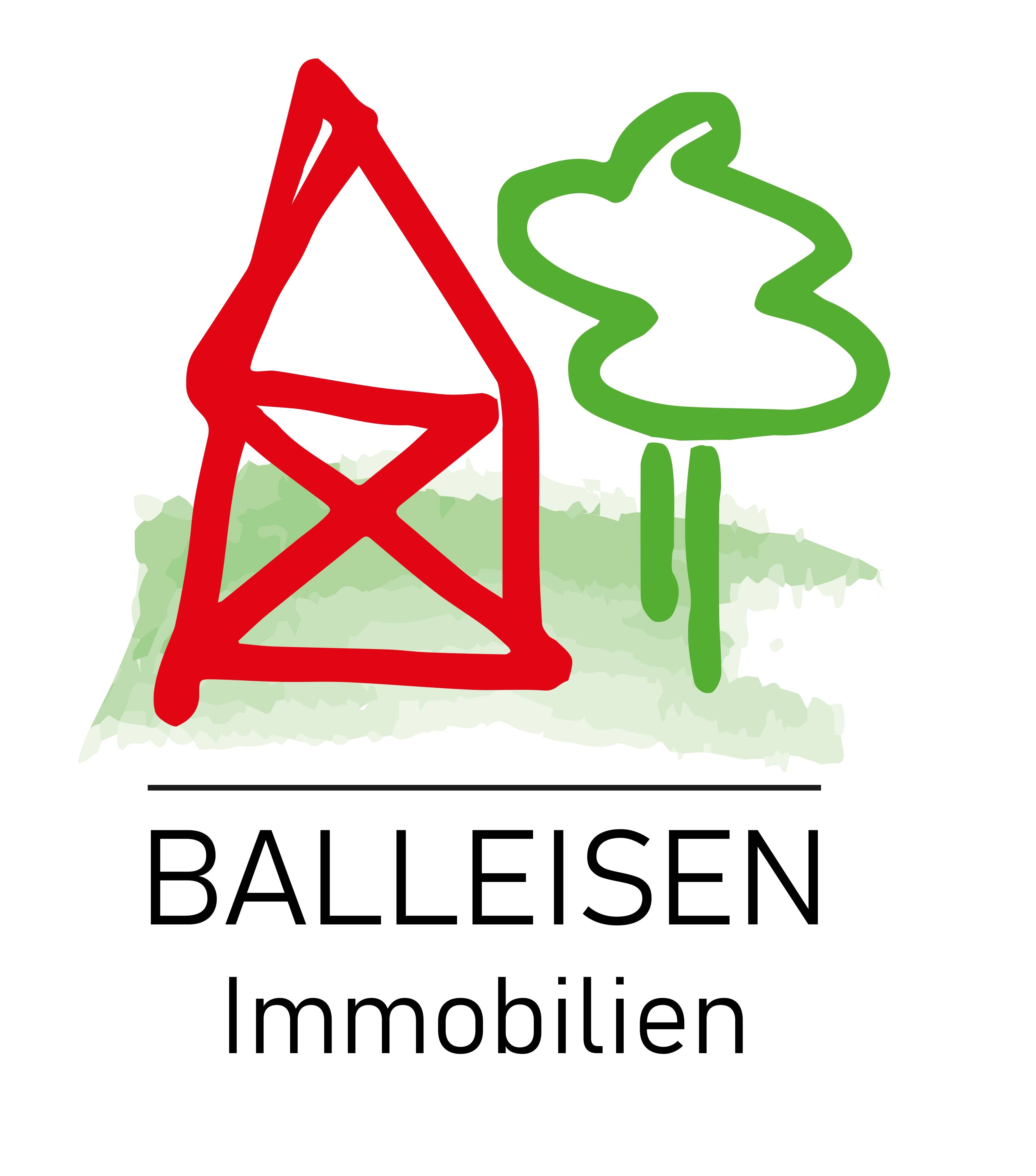 Immobilien Balleisen
