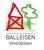 Immobilien Balleisen