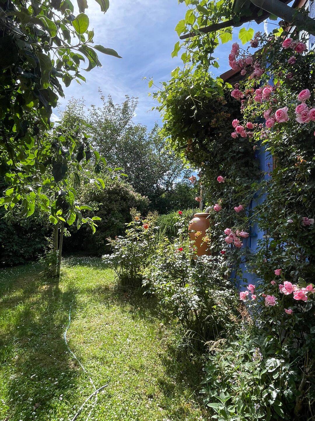 Einfamilienhaus zum Kauf - Ansicht 2