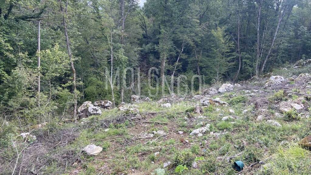 Land-/Forstwirtschaft zum Kauf 65.000 € Matulji