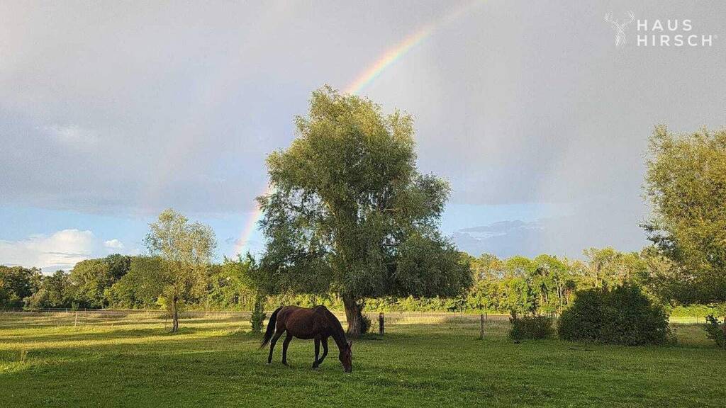 Reiterhof zum Kauf 36.190 m² Grundstück Lietzow Nauen 14641