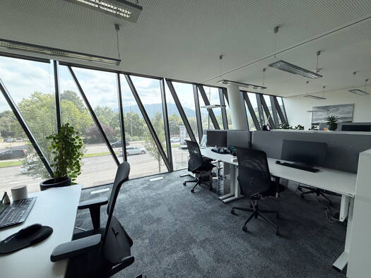 Bürofläche zur Miete provisionsfrei 426 m² Bürofläche Altstadt Freiburg im Breisgau 79098