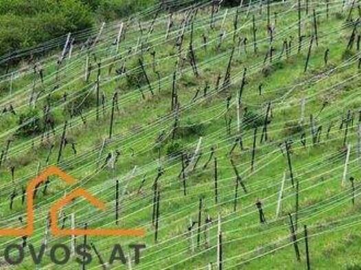 Grundstück zum Kauf 915.000 € 2.070 m² Grundstück Klosterneuburg 3400