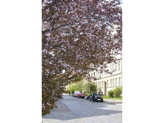 Wohnung zum Kauf 99.500 € 1 Zimmer 40,8 m² Geschoss EG/3 frei ab sofort Bülowstraße 21 Volkmarsdorf Ost 04315