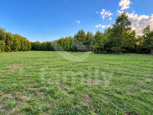 Acker-/Waldstück zum Kauf 100.400 € Žminj 52341