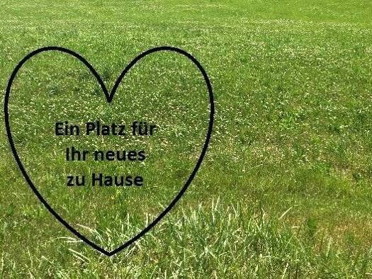 Grundstück zum Kauf 630.000 € 607 m² Grundstück West Landshut 84034