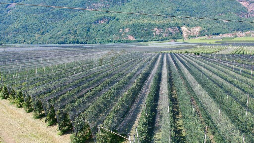 Grundstück zum Kauf 409.000 € 5.109 m² Grundstück Eppan an der Weinstraße 39057