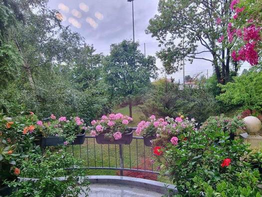 Wohnung zum Kauf 252.500 € 3 Zimmer 85,5 m² 1. Geschoss Naußlitz Dresden 01187