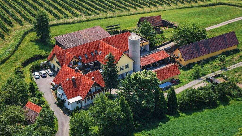 Mehrfamilienhaus zum Kauf 615 m² 13.409 m² Grundstück St. Nikolai im Sausal 8505