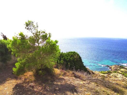 Grundstück zum Kauf 3.750.000 € 1.080 m² Grundstück Llucmajor - Puig de Ros 07609