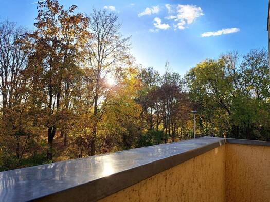 Wohnung zur Miete 1.156 € 4 Zimmer 98 m² 1. Geschoss Hohendodeleber Str. 27 Stadtfeld West Magdeburg 39110