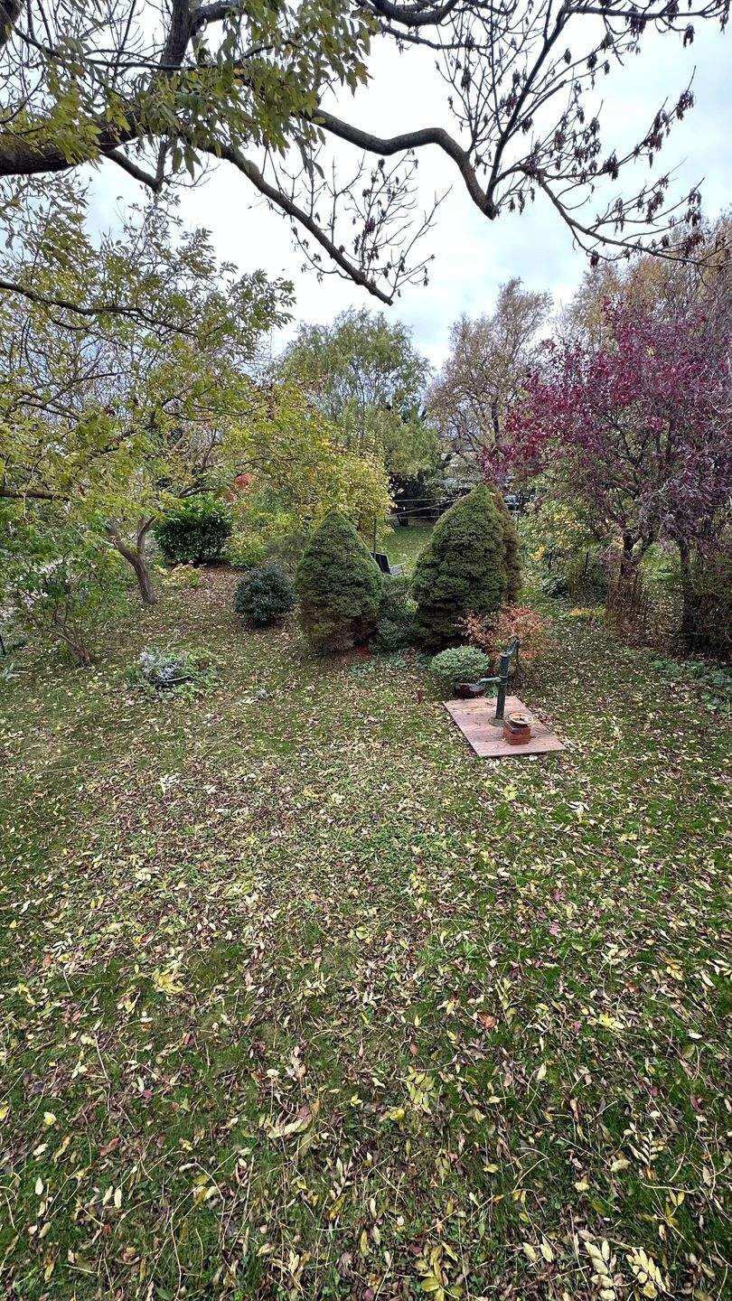 Immobilie in Ahrenshoop - AHRENSHOOP: Ein Haus mit Geschichte zwischen Bodden und Ostsee - Bild 3