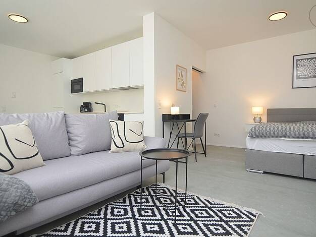 Wohnung zur Miete auf Zeit 1.150 € 1 Zimmer 40 m² frei ab 01.10.2026 Gostenhof Altstadt und engere Innenstadt 90429