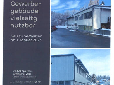 Haus zum Kauf 790.000 € 388 m² frei ab sofort Spiegelau Spiegelau 94518