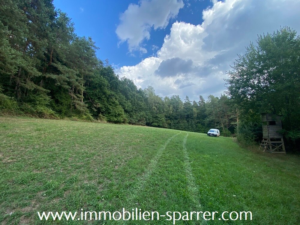 Land-/Forstwirtschaft zum Kauf 29.000 € 6.470 m²<br/>Grundstück Wollau Pressath 92690