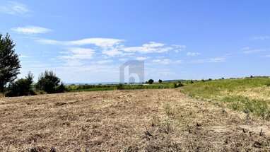 Grundstück zum Kauf 506 m² Grundstück Eisenstadt Eisenstadt 7000