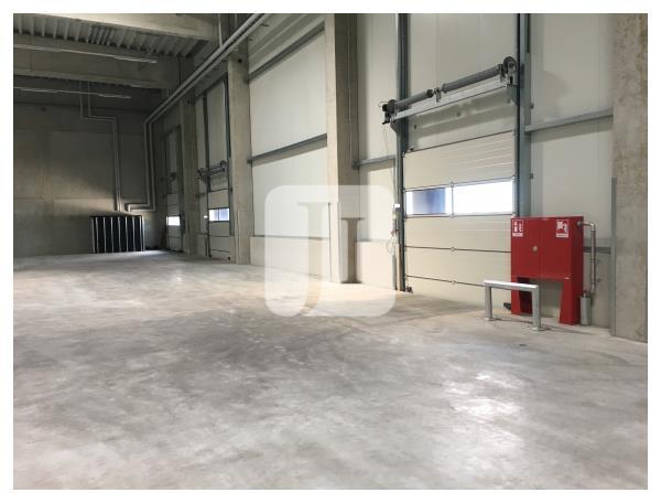 Lagerhalle zur Miete 5.000 m²<br/>Lagerfläche ab 3.500 m²<br/>Teilbarkeit Glinde 21509