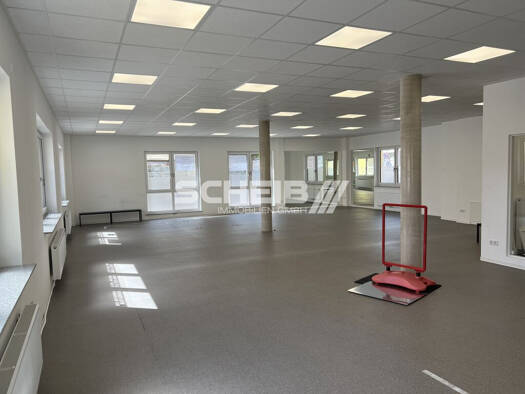 Bürofläche zur Miete 10 € 254 m² Bürofläche Crailsheim 74564
