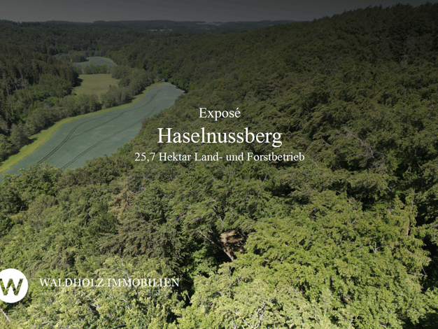 Forstwirtschaft zum Kauf als Kapitalanlage geeignet 1.420.000 € 257.472 m² Grundstück Papiermühle Laaber 93164