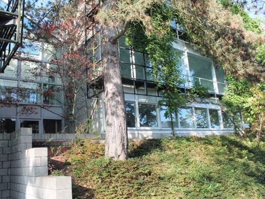 Bürofläche zur Miete 11 € 11 Zimmer 84 m² Bürofläche Heiderhof Bonn 53177