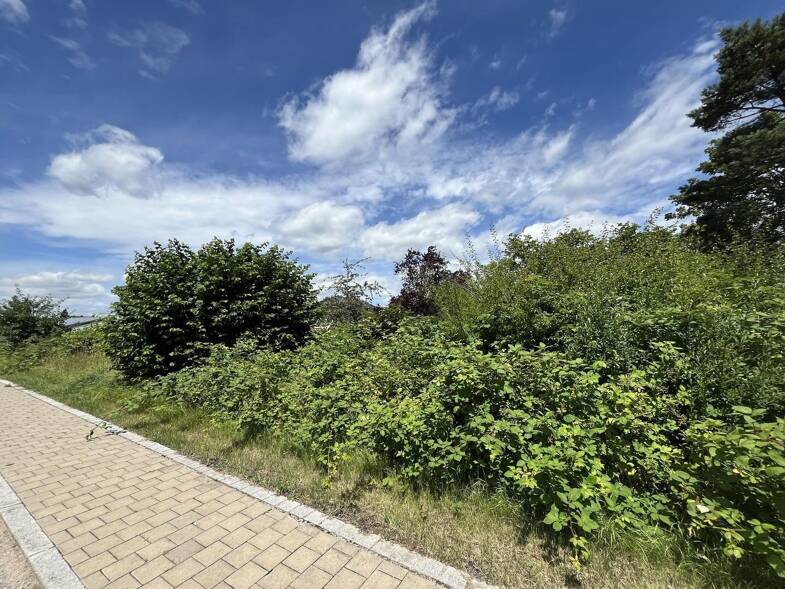 Grundstück zum Kauf provisionsfrei 219.000 € 918 m² Grundstück Langlau Pfofeld 91738