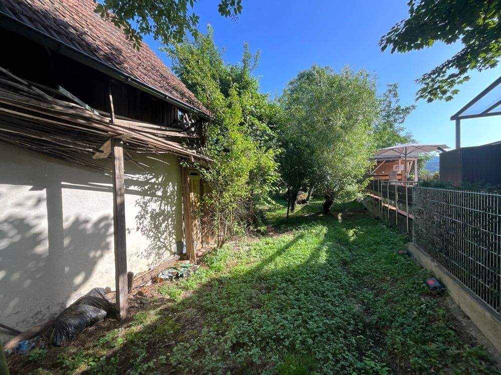 Immobilie in Offenburg - ***Kleines Haus zur Komplettsanierung auf großem Grundstück in Zunsweier*** - Bild 3