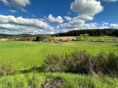 Grundstück zum Kauf 24.000 € 600 m² Grundstück Gonnesweiler Nohfelden 66625