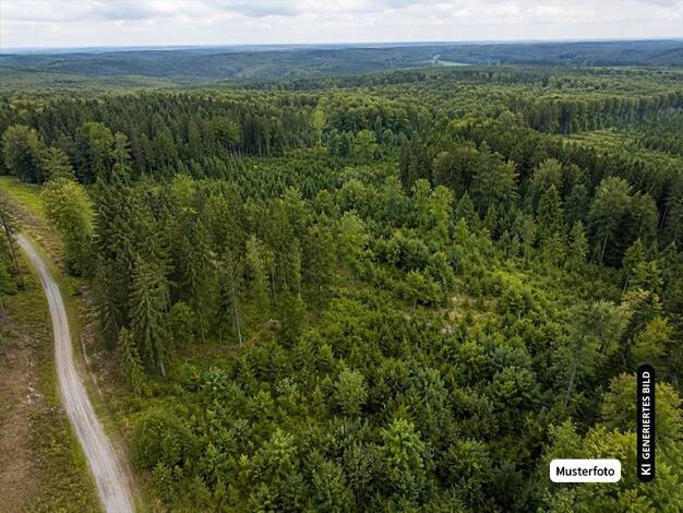 Land-/Forstwirtschaft zum Kauf provisionsfrei 22.989 € Nieder-Saulheim Saulheim 00000