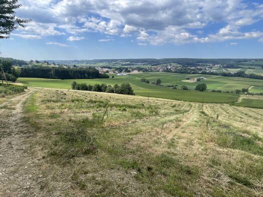 Landwirtschaftliche Fläche zum Kauf 698.000 € 101.622 m² Grundstück Bad Waltersdorf 8271
