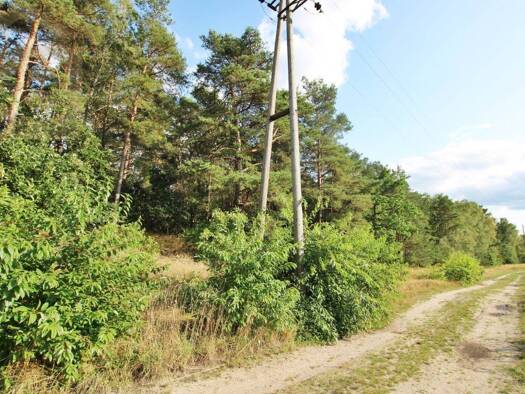 Grundstück zum Kauf 639.000 € 21.429 m² Grundstück Grußendorf Sassenburg Grußendorf 38524