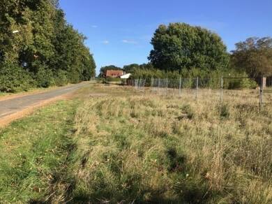 Grundstück zum Kauf 150.000 € 1.000 m² Grundstück Tiste Tiste 27419