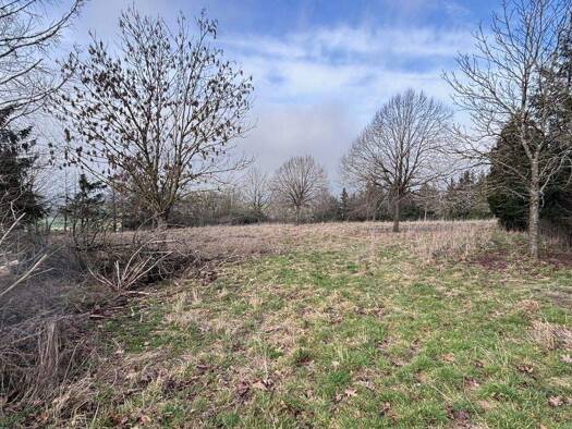 Land-/Forstwirtschaft zum Kauf provisionsfrei 10.950 € Kestrich Feldatal 36325