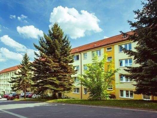 Wohnung zur Miete 407 € 4 Zimmer 68,2 m² EG frei ab sofort Julian-Grimau-Straße 4 Sondershausen 99706